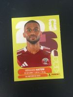 Panini FIFA World Cup Sticker QAT 15